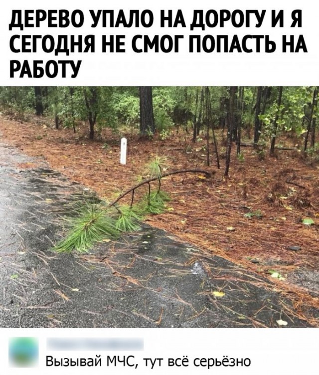 Всякие разные картинки 019