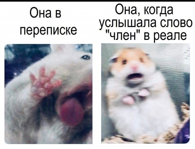 Мемасы (Пошлятина и мат)