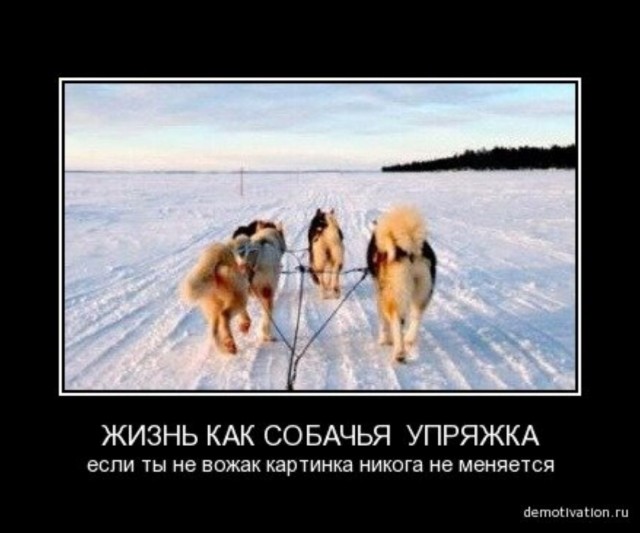 ТруЪ демотиваторы
