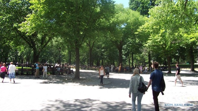 Утренняя прогулка в Нью Йорке.