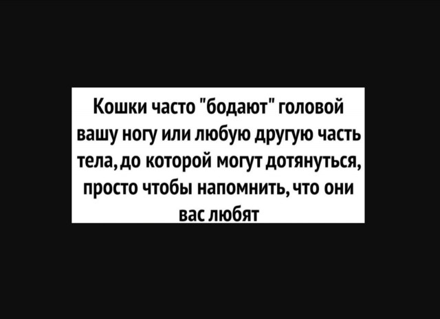 Так себе картинки 30.03.22