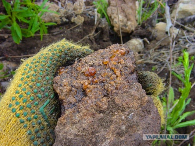 Завтра день геолога