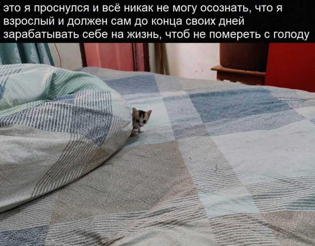 Картинки разные 25.04.2022