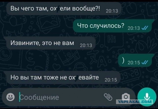 Отзывы, объявления, переписки