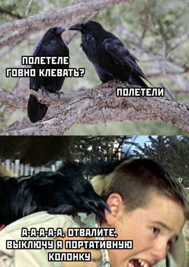 Так себе картинки 09.05.22