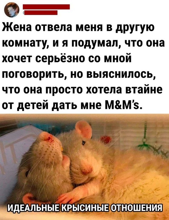 Так себе картинки 15.07.22
