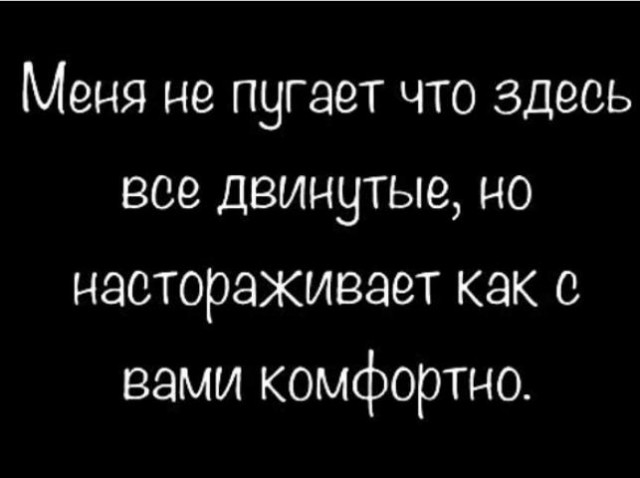 Весёлый полтишок 20.07.2022