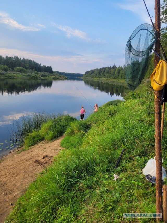 Рыбалка на леща