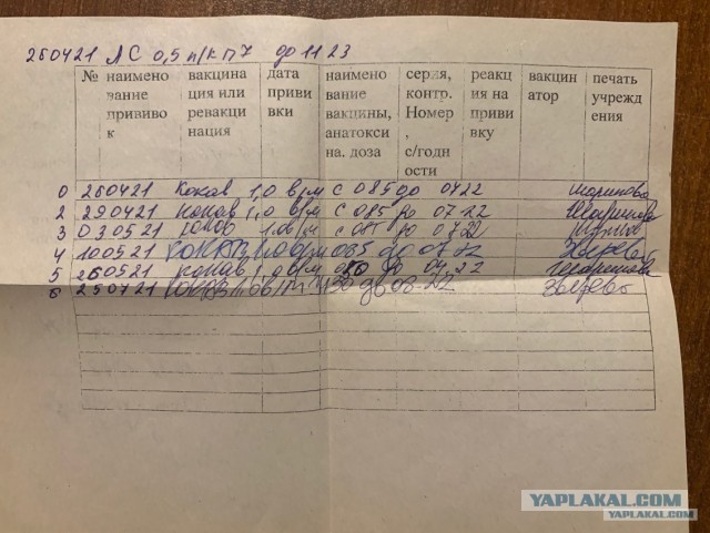Россиянин застрелил женщину за выгул собаки без намордника