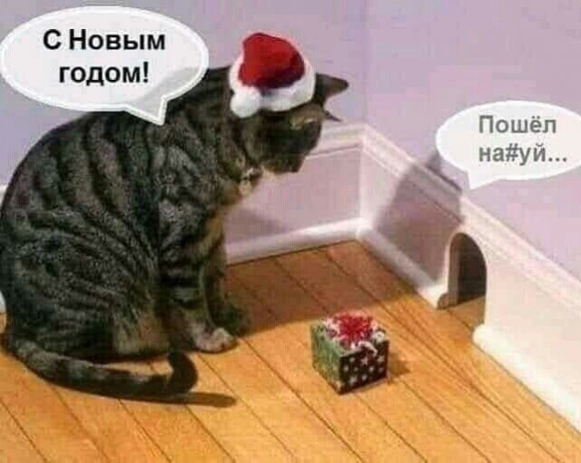Юмор в картинках и без 10.01.2023