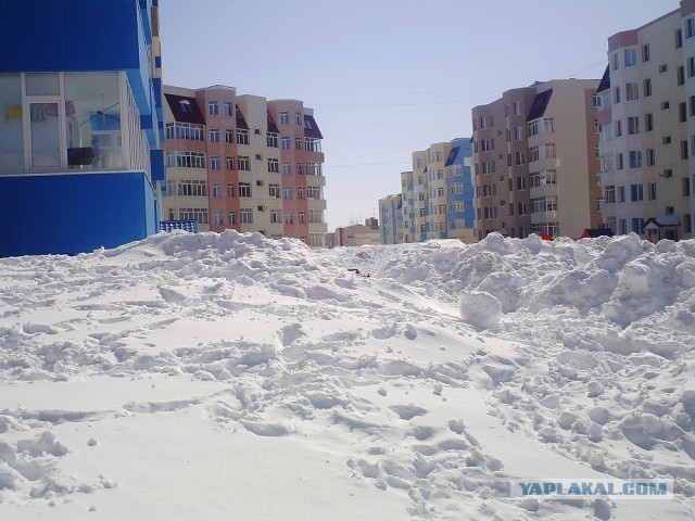 Весна на Камчатке