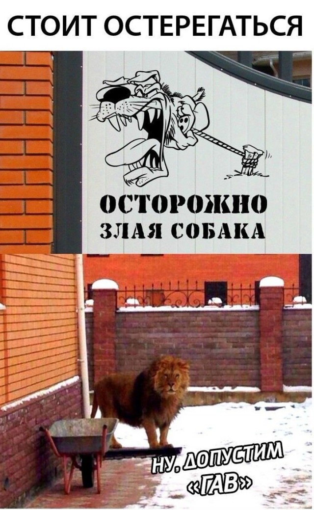 Немного картинок для настроения - 165