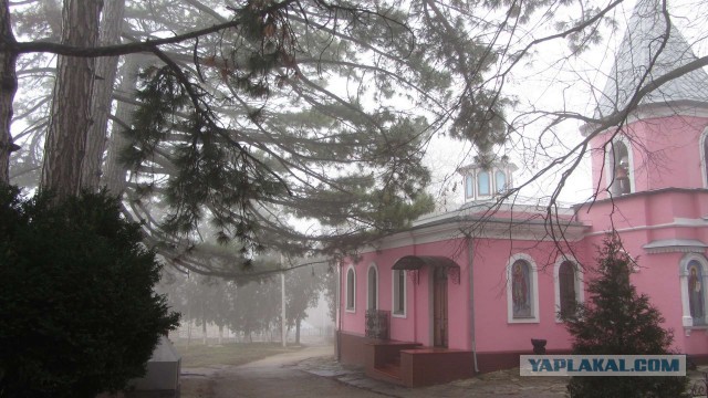 Крым в феврале или "Не стреляйте в белых лебедей!"