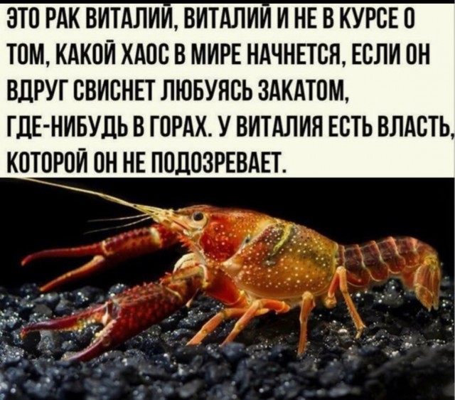 Ибо грядет, коллеги!