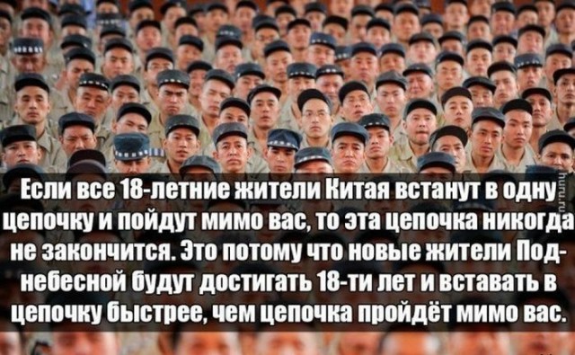 Муравейник живет, кто-то лапку сломал - не в счет. Шанхай