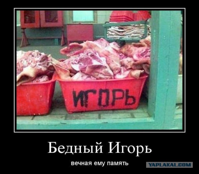 Страшное ДТП из Липецкой области: пассажир "УАЗа" погиб из-за летевшего на огромной скорости байкера