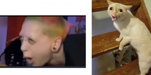 Неловко вышло