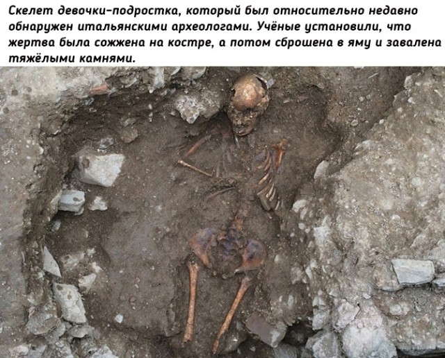 Небольшая подборка исторических фото (14.11)