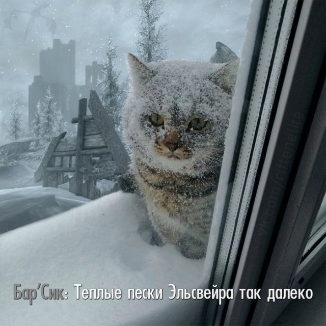 Так себе картинки 06.01.24