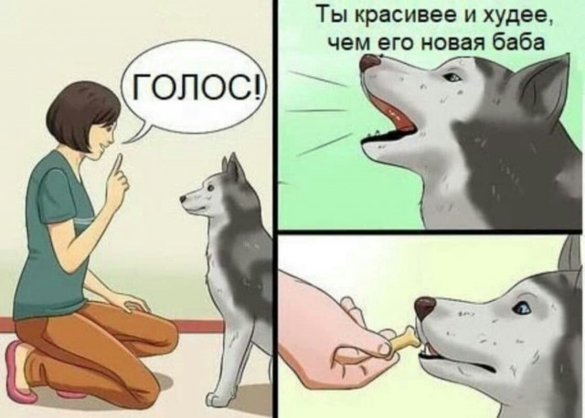 Всего понемногу. От 12.01