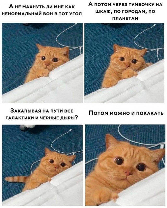 Весёлый полтишок 29.01.24
