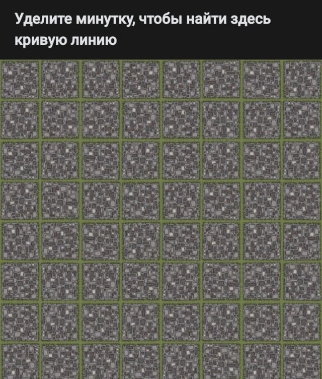Весёлый полтишок 20.02.24
