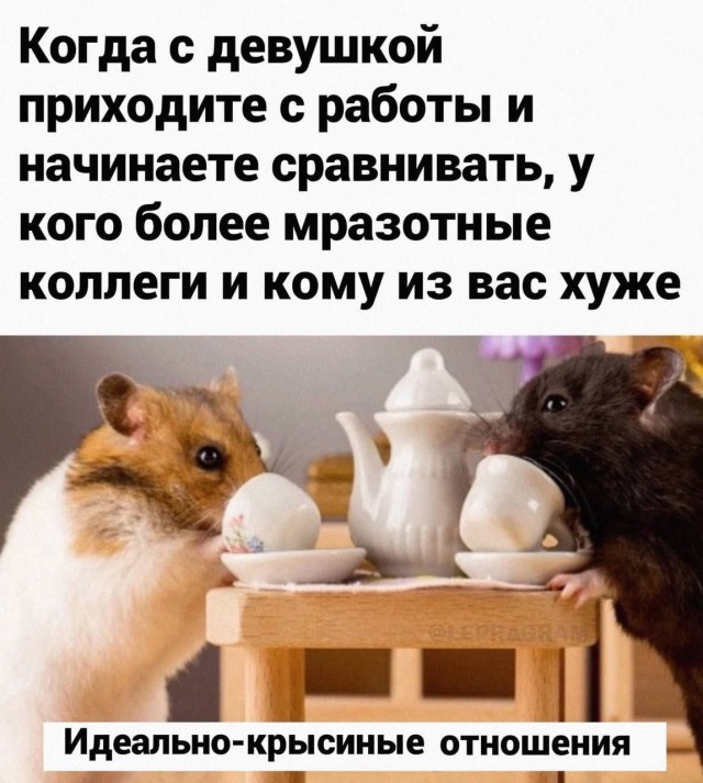 Так себе картинки 12.05.24