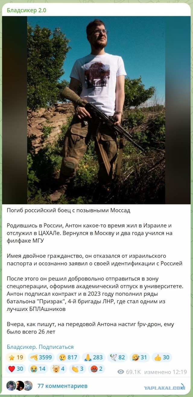 Насралла капут?