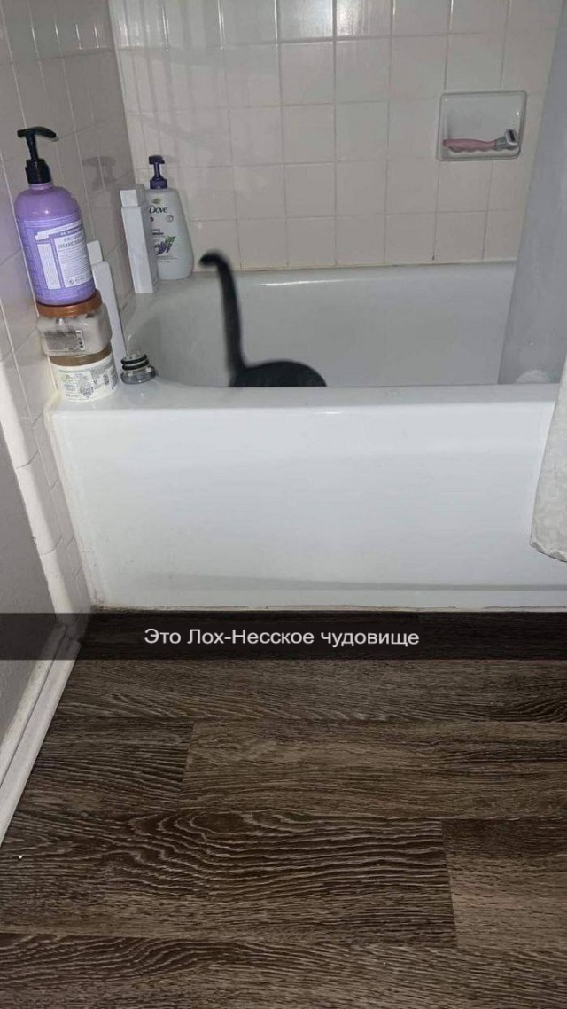 Миссия невыполнима