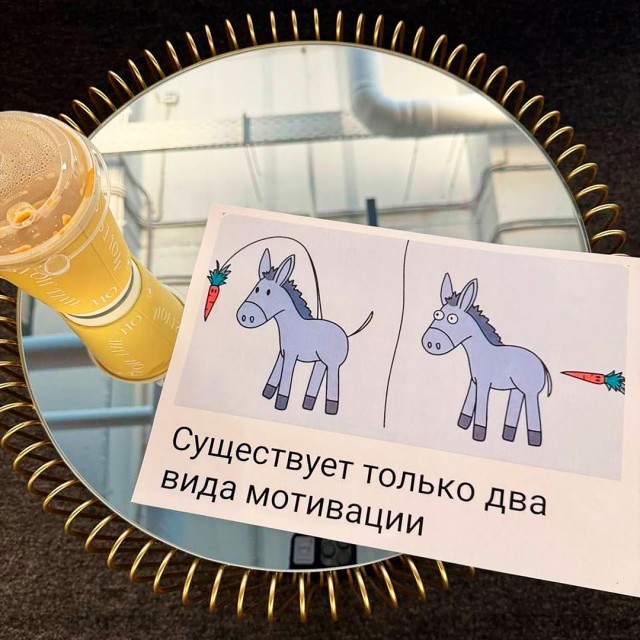 Весёлый полтишок 29.10.24