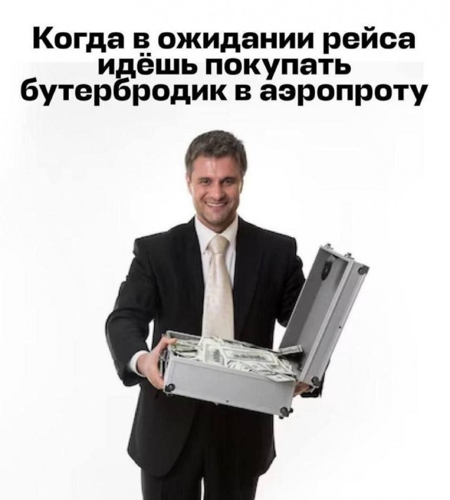 Весёлый полтишок 11.11.24