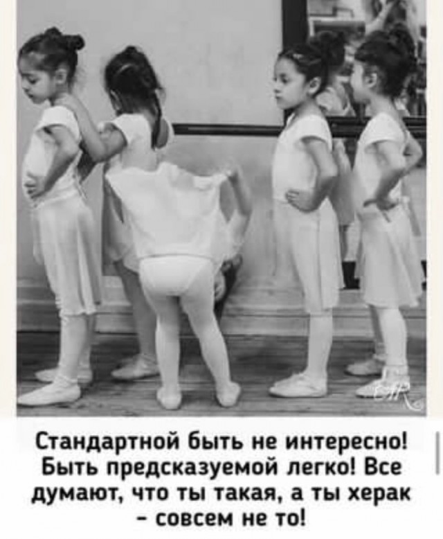 Так себе картинки 25.11.24