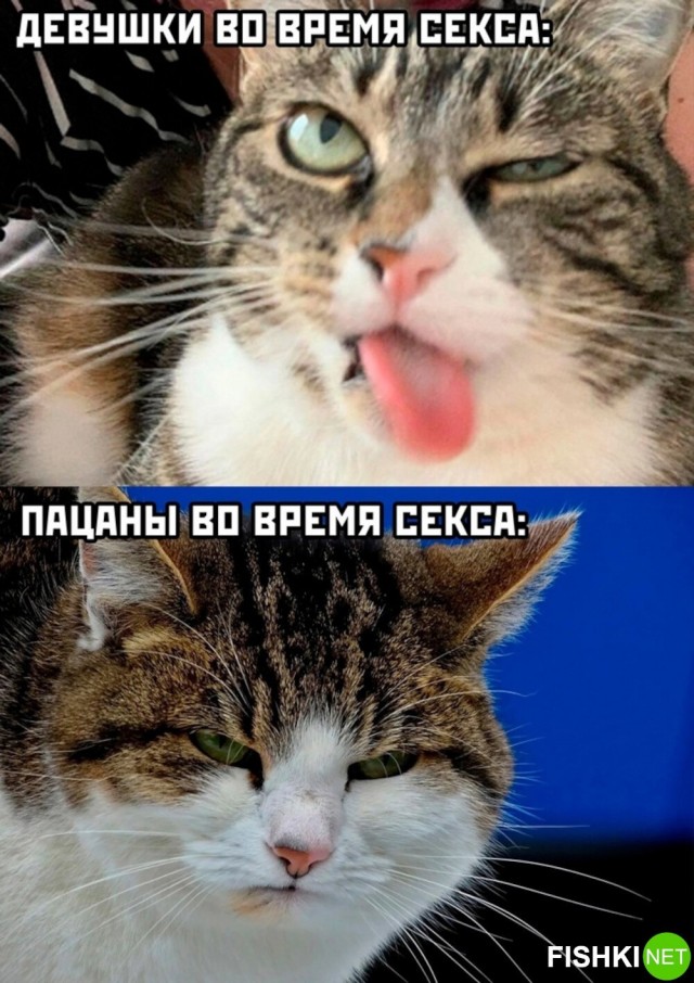 Так себе картинки 28.03.25