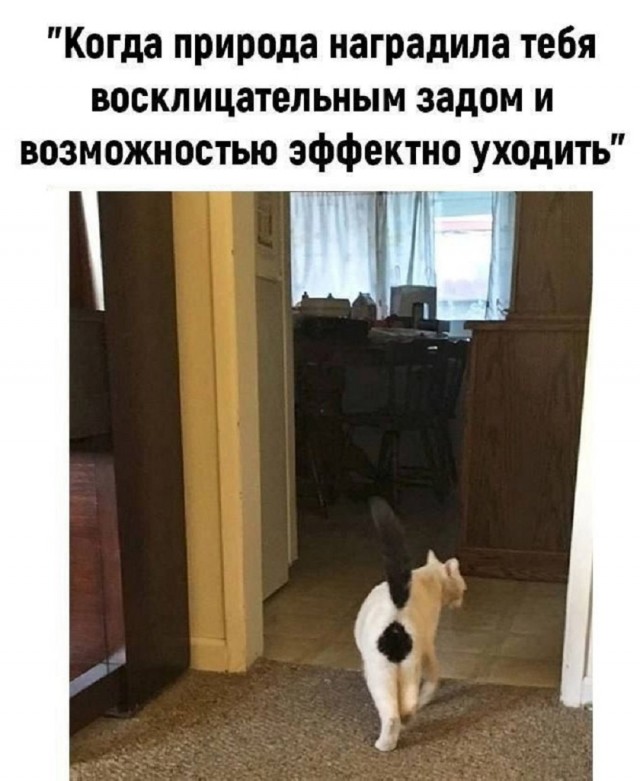 Так себе картинки 17.06.25