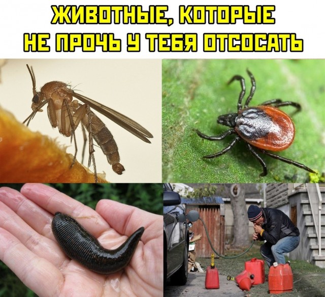 Пришло время!