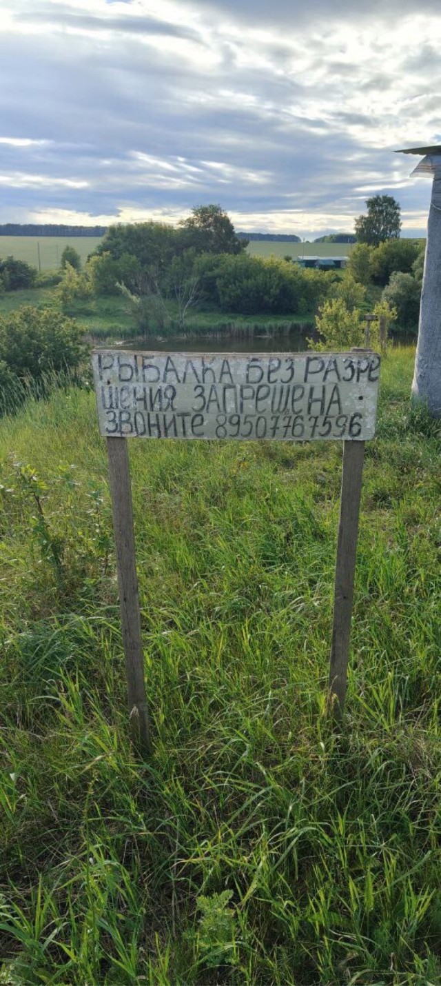 Хозяйка пруда