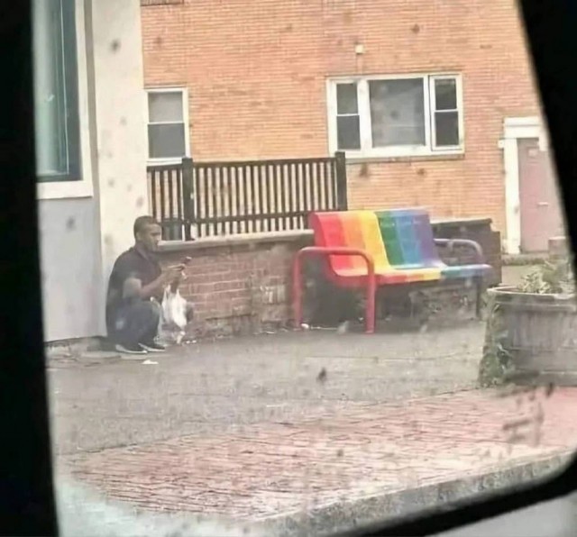 Веселые картинки в маленькую среду (30.07)