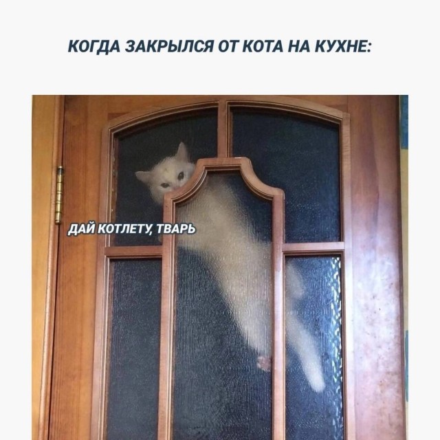 Картинки для деградации 36 (разной степени свежести)