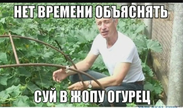 На Западе новый тренд — пользователи кладут себе в носки сырую картошку перед сном.