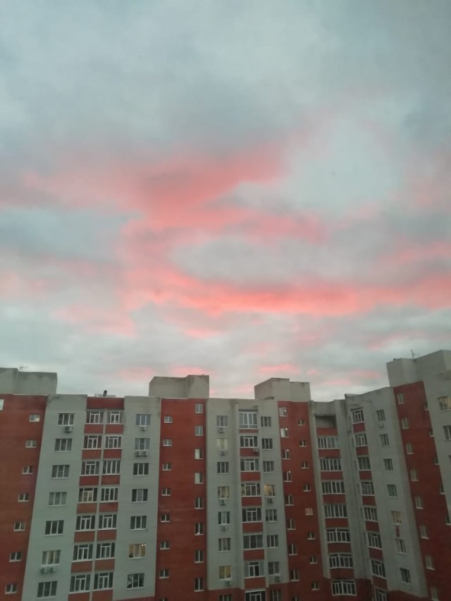 Моя мобильная фотография.
