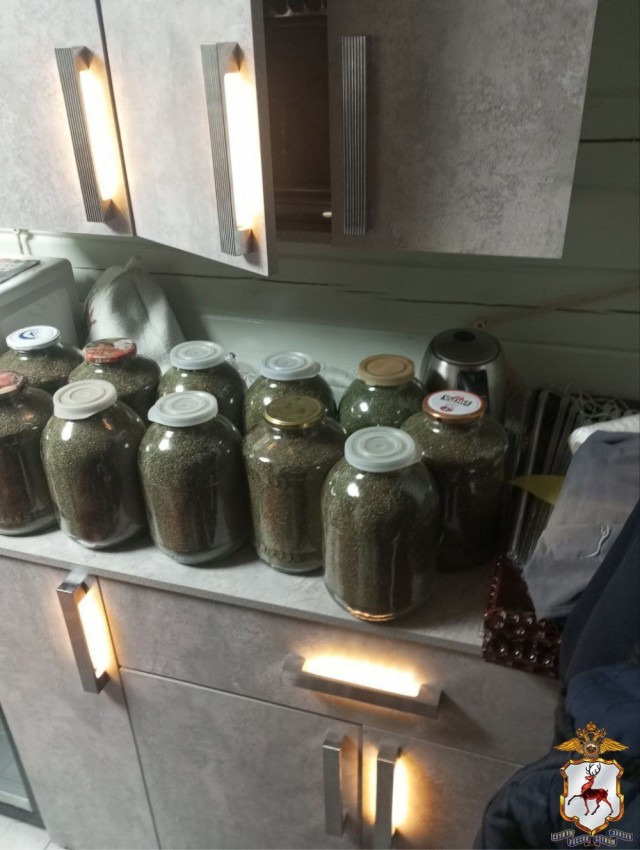 К Новому году готовились, не фортануло