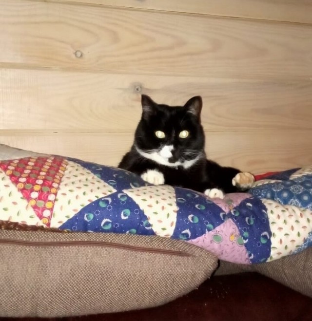 Я твоя гирлянда