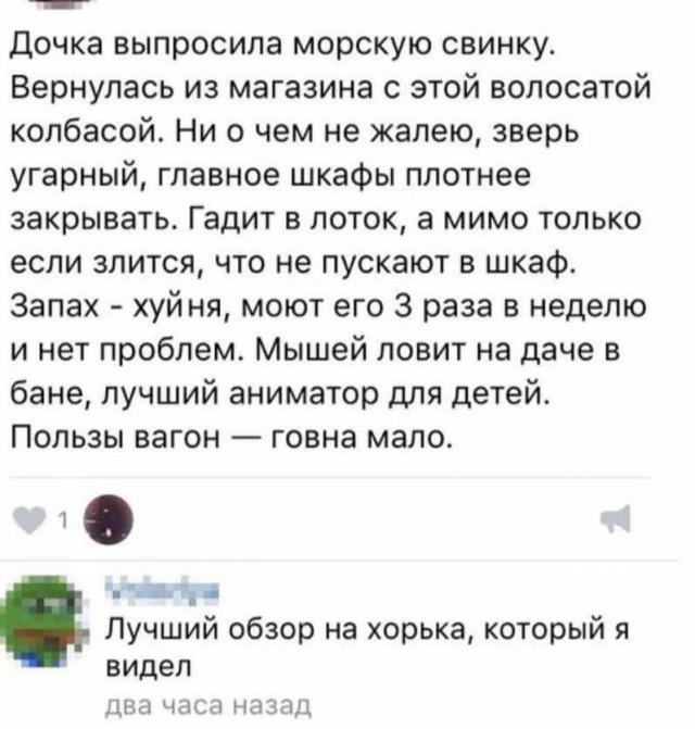 Маленькая пятница 11.02