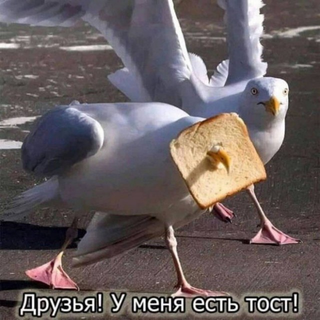 Понедельника картинки