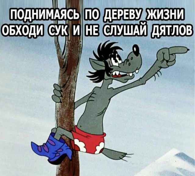 Среды картинки