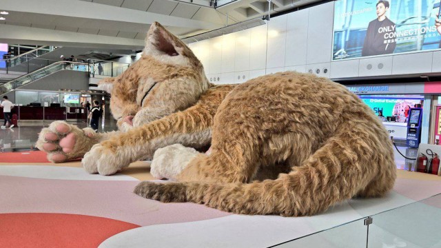 Гигантский рыжий кот в аэропорту Гонконга