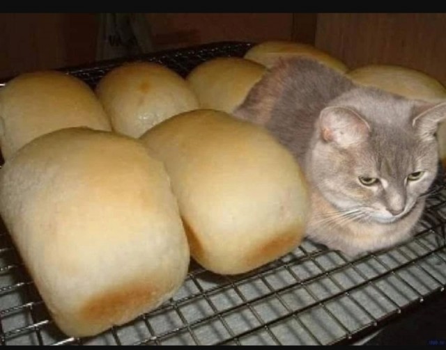 Свежая выпечка