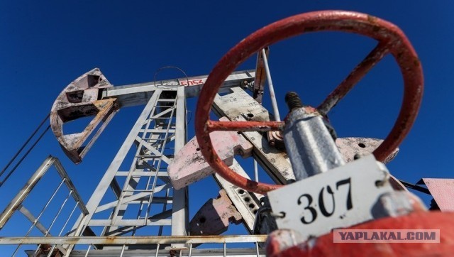 Среднюю зарплату в 1,25 млн получают сотрудники нефтегазовых компаний Петербурга
