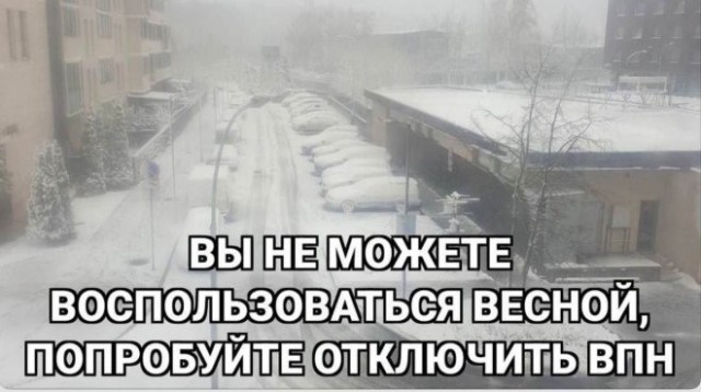 Веселые картинки в пятницу (15.05)