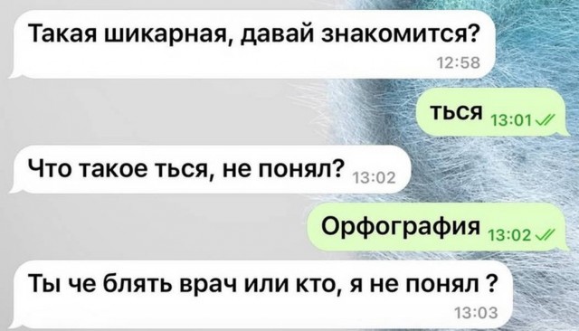 Веселые картинки в маленькую пятницу (08.07)